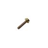 Regulator Screw 20 AMP