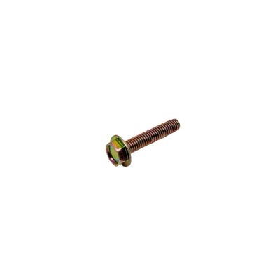 Regulator Screw 20 AMP