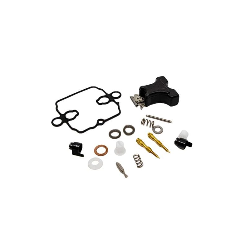 Overhaul Carburetor - 21 HP